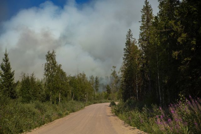 Факел 20 метров: в Пермском крае продолжают тушить пожар на газопроводе