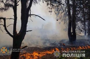 Пожар в Нацзаповеднике Хортица: правоохранители выясняют причину возгорания