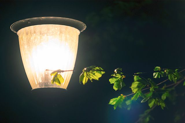 Около 600 новых фонарей установят на Красноярском тракте в Омске