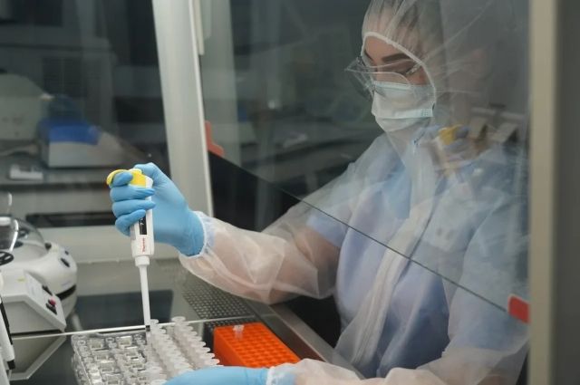 В ОмГТУ будет открыта современная биотехнологическая лаборатория