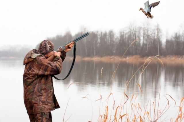 В Чувашии начался сезон охоты на птиц