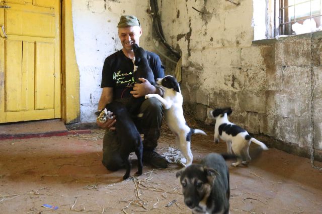 Камчатские депутаты помогли приюту для бездомных собах «Под крылом Кутха»