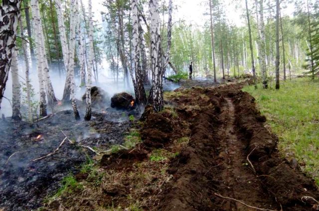 За сутки в регионе ликвидировано 14 природных очагов огня.