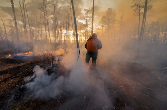 В Саратовской области леса горели 29 раз в 2021 году