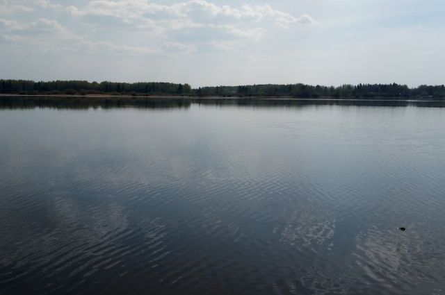 Тело утонувшего подняли из Реадовского озера в Смоленске