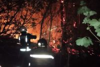 В Оренбурге удалось локализовать пожар в Протопоповской роще.