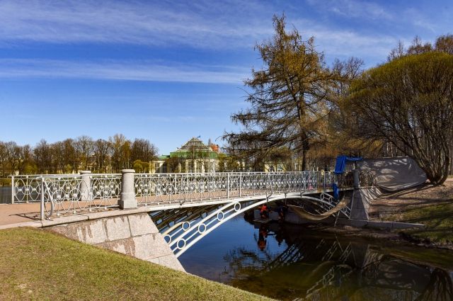 Правительство Петербурга передало «Газпрому» теплицы Таврического сада
