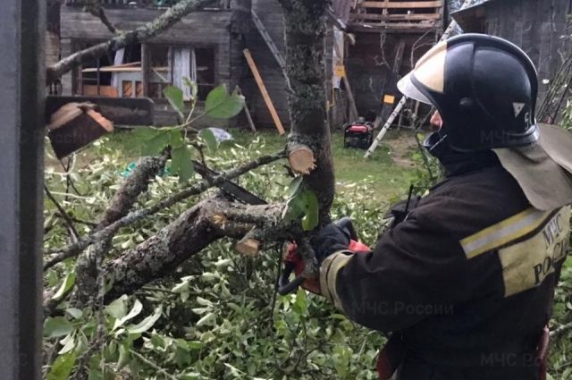 Жертвой урагана в Тверской области стал турист из Москвы