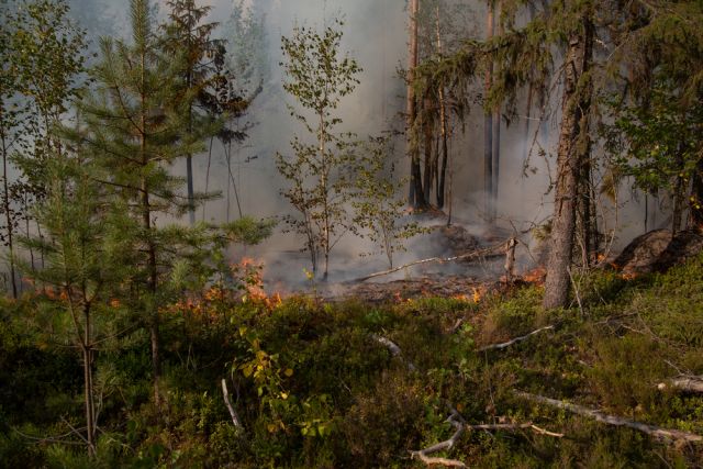 В Хабаровском крае продолжают гореть леса