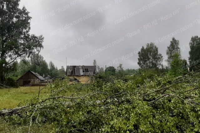 «Гвидо» оставил без света почти 180 населённых пунктов в Псковской области