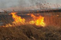 МЧС Оренбуржья сообщает о новом очаге возгорания у поселка 9 Января.