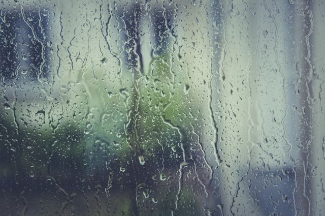 Погода в Югре на 4 августа: в отдельных районах дождь