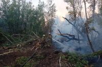 В Оренбурге с пожаром в Протопоповской роще борются уже четвертый день.