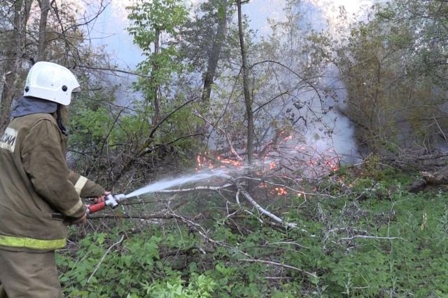 Пожарные ликвидировали все крупные очаги возгорания возле села 9 Января.