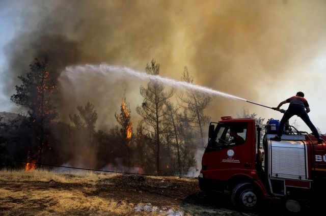 Лесные пожары в Турции привели к возгоранию тепловой электростанции
