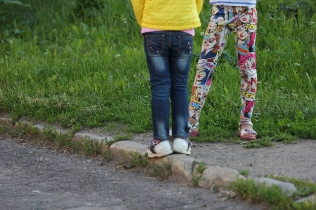 Ушакова: число ДТП с детьми в Нижегородской области вызывает беспокойство