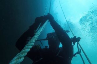 В Черном море стартовали совместные учения ВМС Украины и стран НАТО