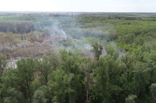 Благая весть: МЧС сообщило о ликвидации крупного пожара в Протопоповской роще Оренбурга.