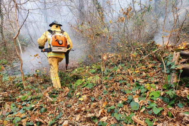 В Геленджике потушили лесной пожар на площади 0,2 га