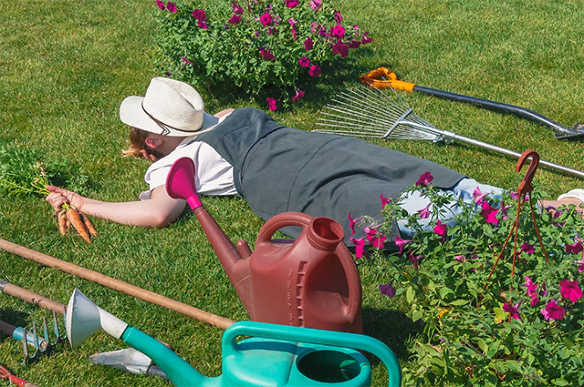 Дача без хлопот: как тратить меньше времени на огород и сад и побольше отдыхать