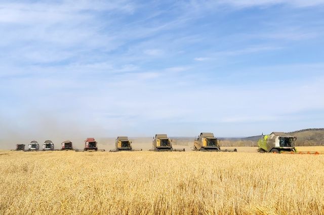 В Саратовской области собрано 2,5 миллиона тонн зерна