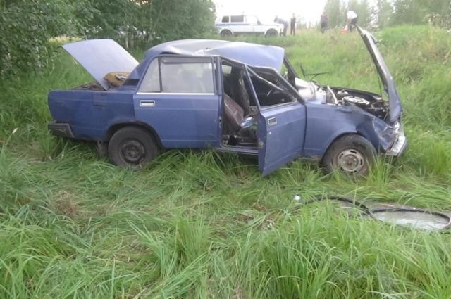 В дорожную аварию попала 16-летняя жительница Омской области
