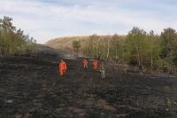 В Оренбуржье ликвидировали пожар в заповеднике «Шайтан-Тау». 
