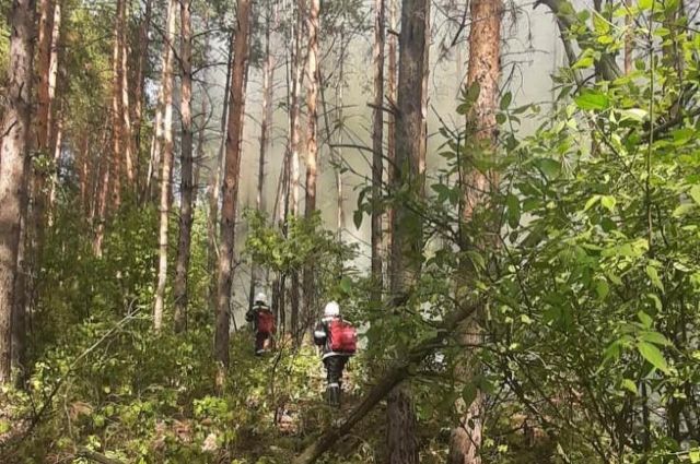 У села Арское в Ульяновске ликвидировали лесной пожар