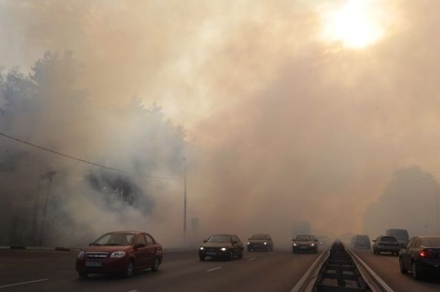 Дым охватил почти весь Красноярский край.