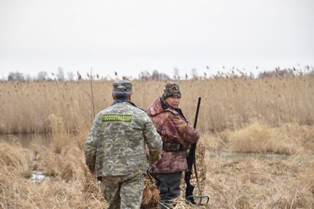 Лимиты добычи диких животных установили для охотников в Челябинской области