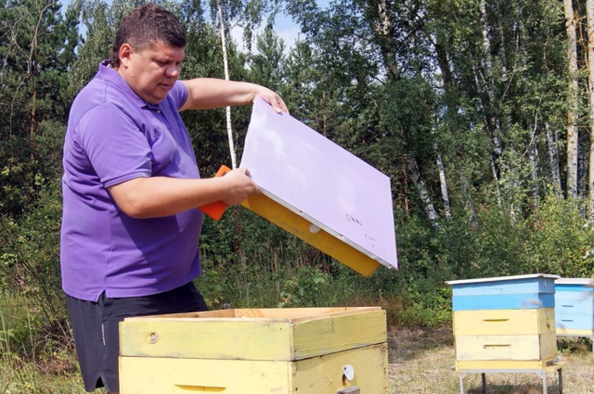 Пчела Инвентаря Купить В Калининграде Адреса Магазинов