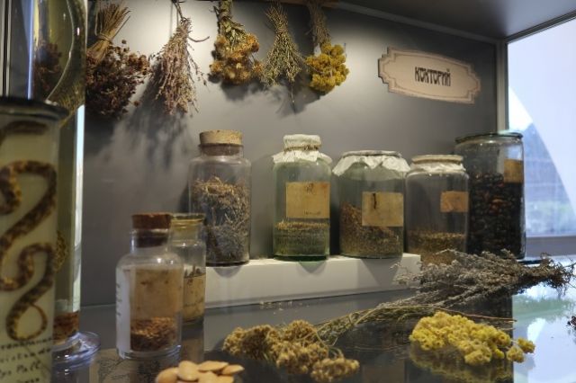 Музей в Ставрополе посвятил выставку аптекарю, которого путают с Байгером