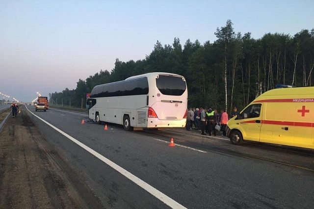 Во Владимирской области в ДТП с фурой пострадали 16 пассажиров автобуса