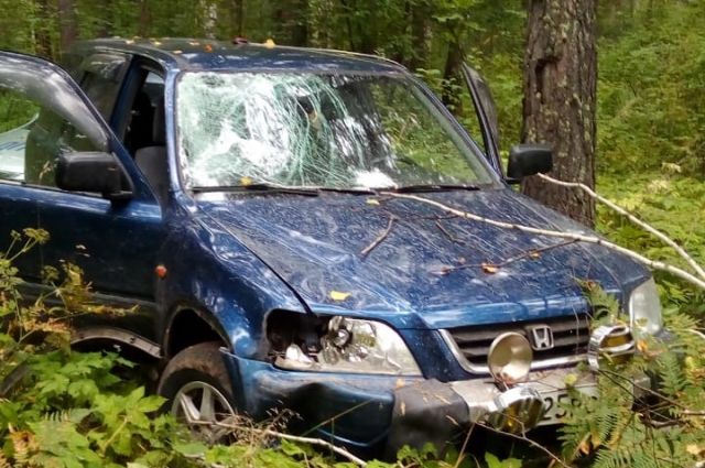 В Новосибирске найден автомобиль сбившего насмерть велосипедиста