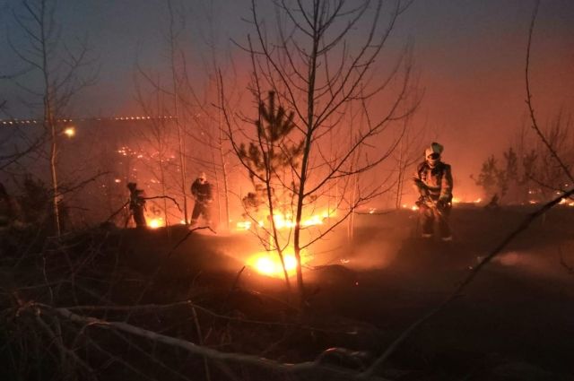 В Тольятти 14 августа вновь горел лес
