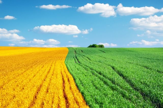Россельхозбанк представил стратегию развития Своего Фермерства-2025