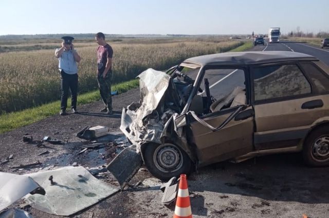 Крупная авария на трассе в Омской области унесла жизнь двух человек
