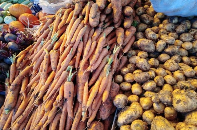 В Ставрополе продали 255 тонн фруктов и овощей по акции «Овощи к подъезду»