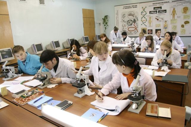 Большинство этих студентов будут работать в Красноярском крае