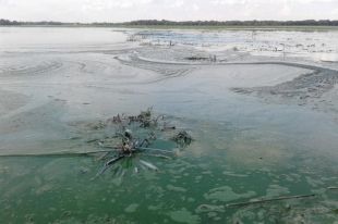 В Харьковской области действия чиновников привели к загрязнению реки