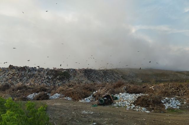 Прокуратура нашла виновных в пожарах на мусорных свалках в Новосибирске