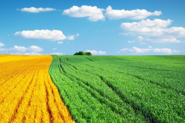 Россельхозбанк представил стратегию развития Своего Фермерства-2025