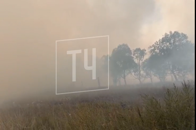 В районе ЧВВАКУШа тушат природный пожар