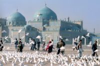 Мечеть в Мазари-Шарифе. Афганистан. 1989 г.