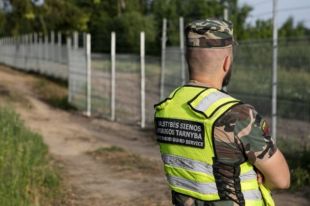 Литва хочет за год завершить строительство стены на границе с Беларусью