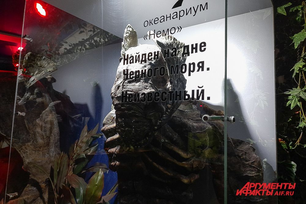Лето 2021 года в Витязево.