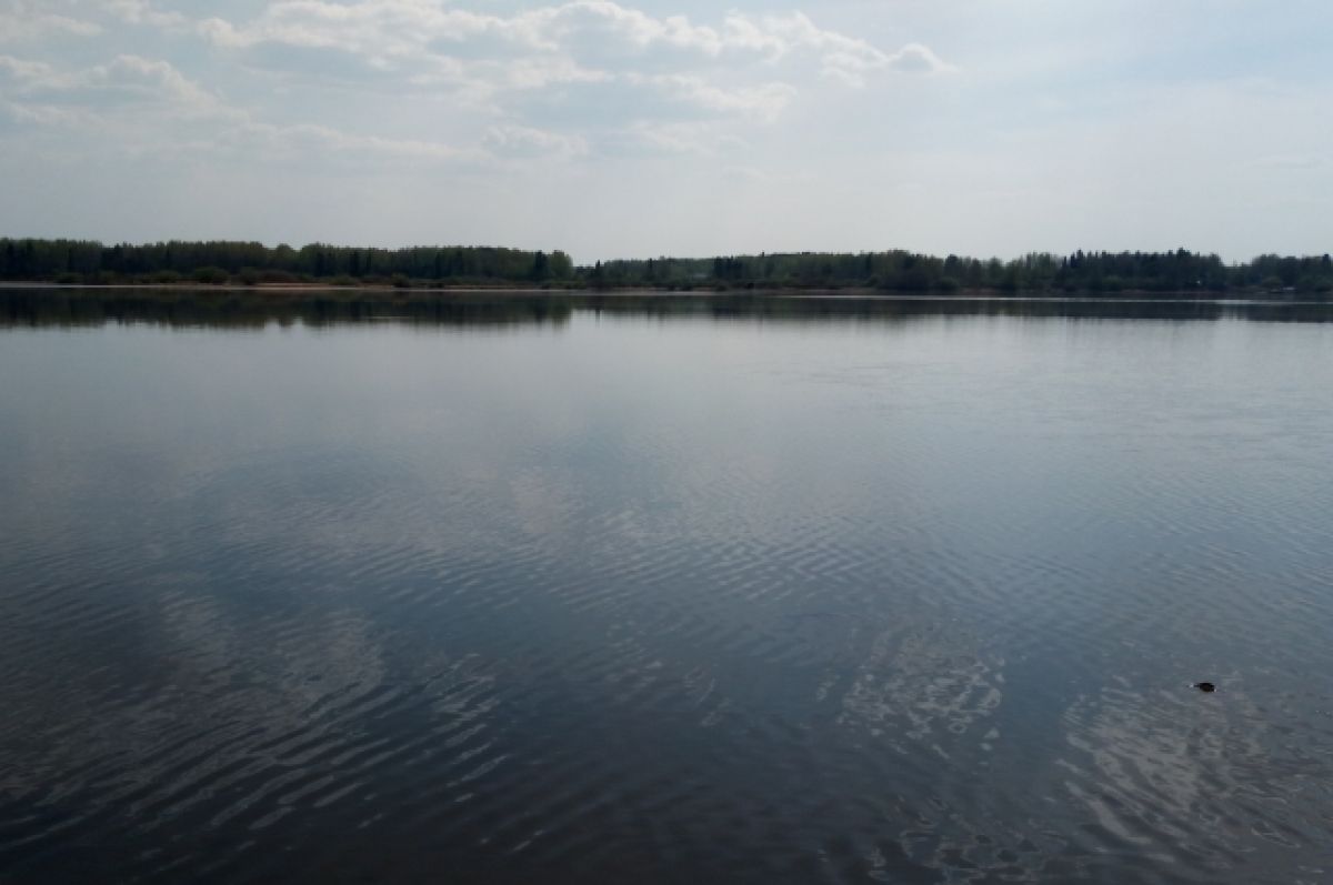 В Ярославской области женщина спрыгнула с парома в воду