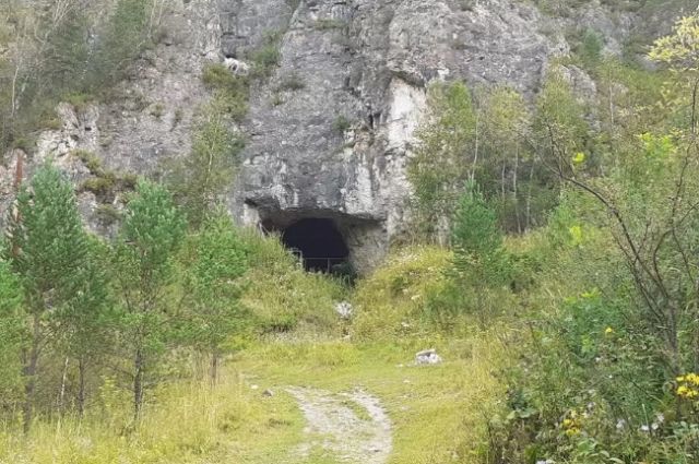 По следам денисовца. Рядом с Денисовой пещерой на Алтае построят палеопарк
