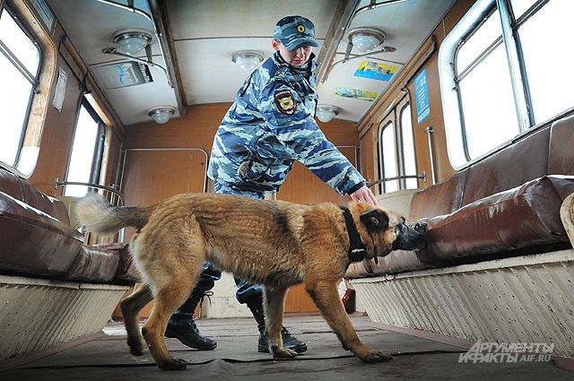 В Рязанской области проходят массовые рейды полиции