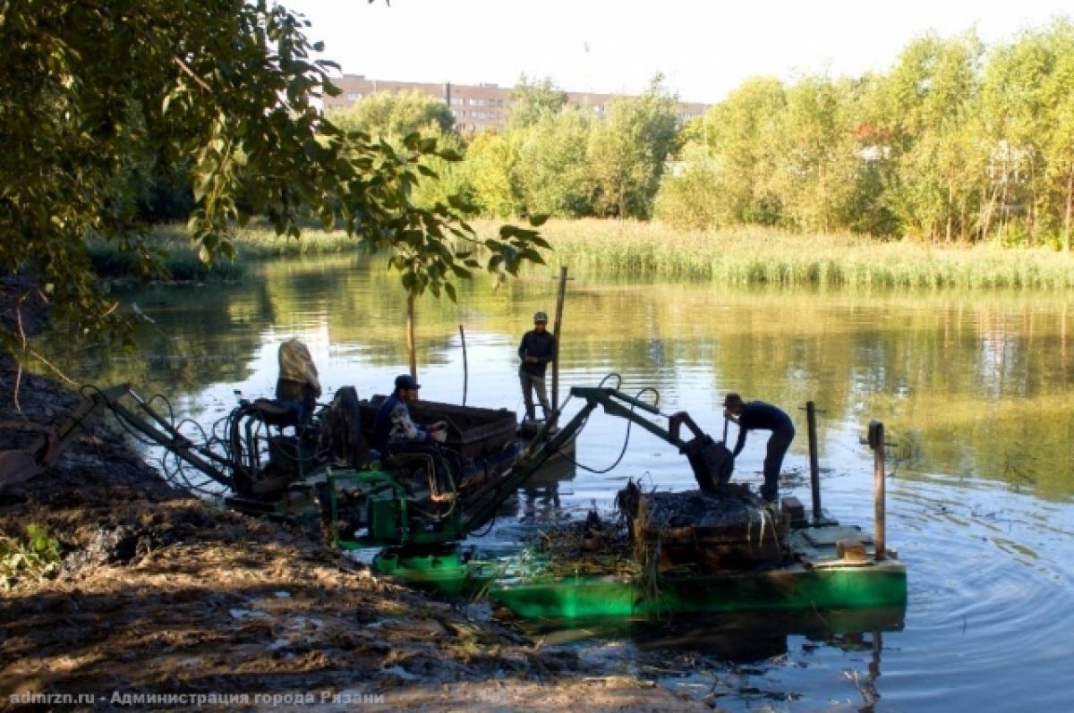 В рязанской Дашково-Песочне начали очищать пруд Серая шейка | АиФ Рязань